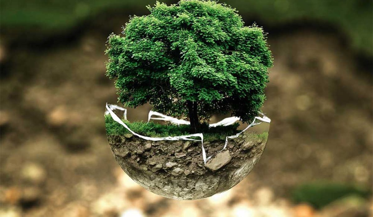 I consulenti ambientali si occupano dalla valutazione degli impatti ambientali alla consulenza nella gestione delle risorse naturali.